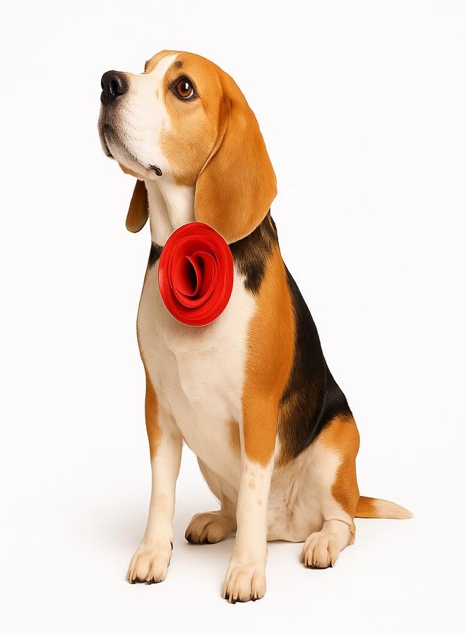 Zigly Ruby Rose Dog Bow Tie - | Breathable & Durable Fabric | Stylish Pet Accessory with Elastic Loop for Comfortable Fit (Red, L) - Image 1